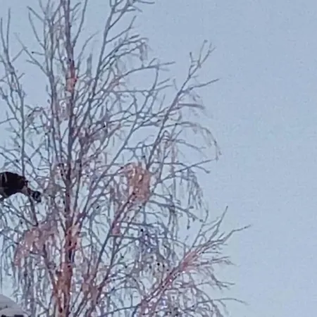 Akolampi Domek alpejski Impio