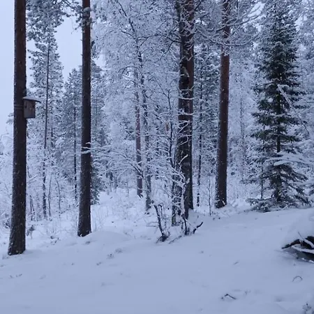 Akolampi Chalet Impio