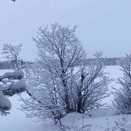 Akolampi Chalet *