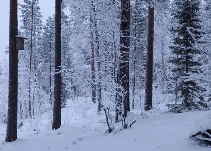 Akolampi Σαλέ Impio